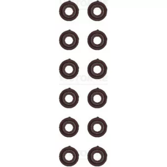 Jeu de joints d'étanchéité, tige de soupape VICTOR REINZ [12-53028-01]