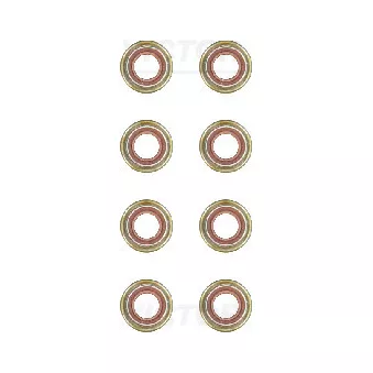 Jeu de joints d'étanchéité, tige de soupape VICTOR REINZ 12-53029-01