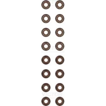 Jeu de joints d'étanchéité, tige de soupape VICTOR REINZ 12-53593-01