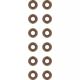 Jeu de joints d'étanchéité, tige de soupape VICTOR REINZ 12-54023-02