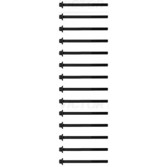 Jeu de boulons de culasse de cylindre VICTOR REINZ 14-10017-01 pour BMW X6 M 50 d - 381cv