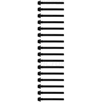 Jeu de boulons de culasse de cylindre VICTOR REINZ [14-10598-01]