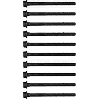 Jeu de boulons de culasse de cylindre VICTOR REINZ 14-11535-01