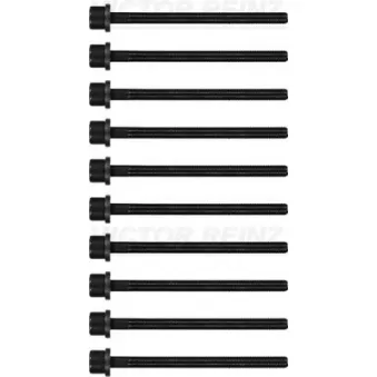 Jeu de boulons de culasse de cylindre VICTOR REINZ 14-11650-01