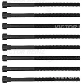 Jeu de boulons de culasse de cylindre VICTOR REINZ 14-12261-01 pour BMW X1 xDrive 25 e Plug-in-Hybrid - 245cv