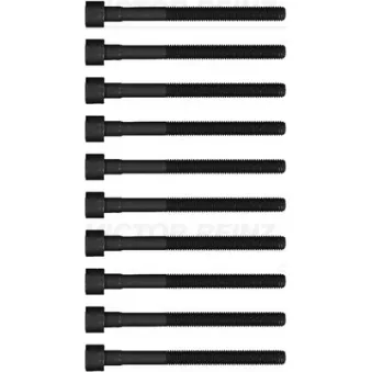 Jeu de boulons de culasse de cylindre VICTOR REINZ 14-13107-01