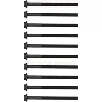 Jeu de boulons de culasse de cylindre VICTOR REINZ 14-17603-01