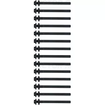 Jeu de boulons de culasse de cylindre VICTOR REINZ 14-21242-01 pour LAND ROVER RANGE ROVER VELAR 3.0 D300 MHEV 4x4 - 300cv