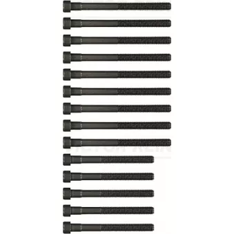 Jeu de boulons de culasse de cylindre VICTOR REINZ 14-32030-02