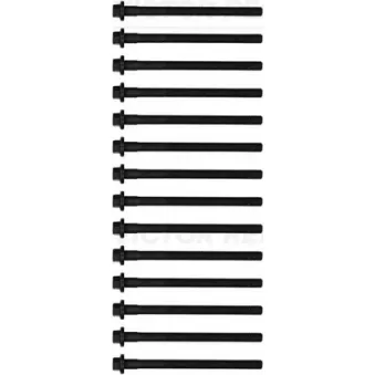 Jeu de boulons de culasse de cylindre VICTOR REINZ 14-32152-03