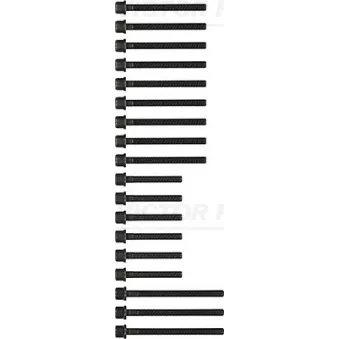 Jeu de boulons de culasse de cylindre VICTOR REINZ 14-32174-01