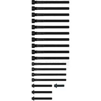 Jeu de boulons de culasse de cylindre VICTOR REINZ 14-32309-02