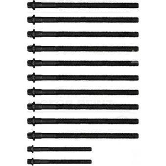 Jeu de boulons de culasse de cylindre VICTOR REINZ 14-32310-02 pour BMW Série 3 320 si - 173cv