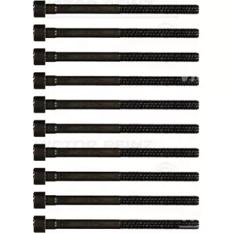 Jeu de boulons de culasse de cylindre VICTOR REINZ 14-55039-01