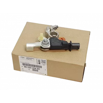 Module, Unité de contrôle BSI OE 9802043480