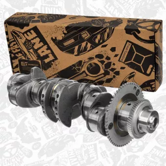 Vilebrequin ET ENGINETEAM OEM 504049281