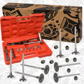 Kit de soupapes, soupapes d'admission/d'échappement ET ENGINETEAM OEM 132018900R