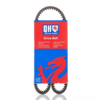 Courroie trapézoïdale QUINTON HAZELL OEM gcb50765