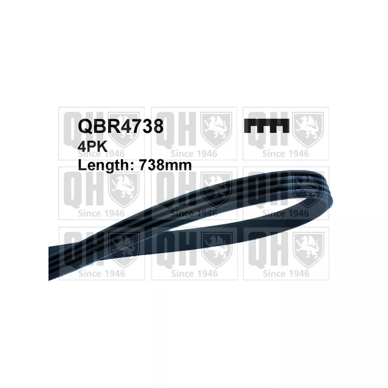 Courroie trapézoïdale à nervures QUINTON HAZELL QBR4738 - Visuel 1