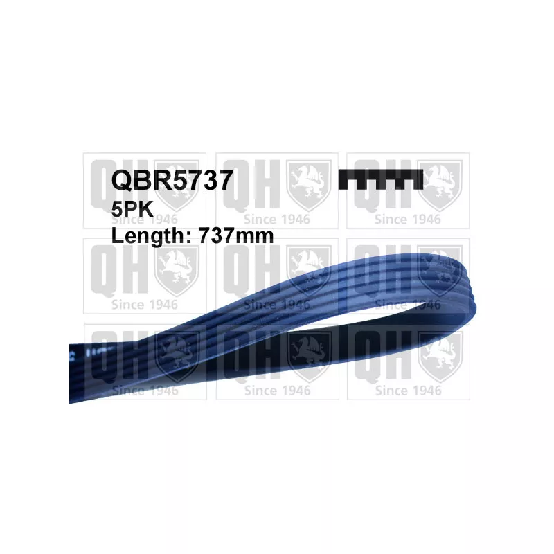 Courroie trapézoïdale à nervures QUINTON HAZELL QBR5737 - Visuel 1