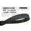 QUINTON HAZELL QBR61019E - Courroie trapézoïdale à nervures