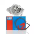 QUINTON HAZELL QCP3494 - Pompe à eau