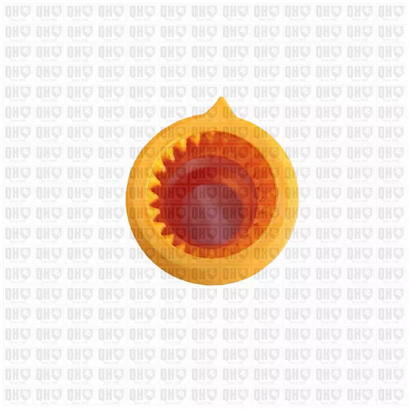 Entonnoir, jauge de niveau d'huile QUINTON HAZELL QOD172 - Visuel 2