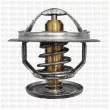 QUINTON HAZELL QTH481K - Thermostat d'eau