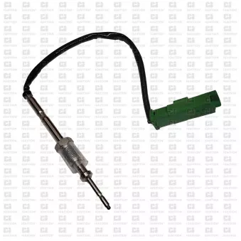 Capteur, température des gaz QUINTON HAZELL OEM 03K906088B