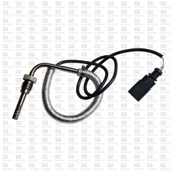 Capteur, température des gaz QUINTON HAZELL OEM 059906088CP