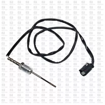 Capteur, température des gaz QUINTON HAZELL XEPS259