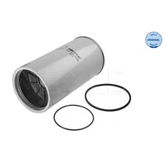 Filtre à carburant MEYLE OEM 2113151