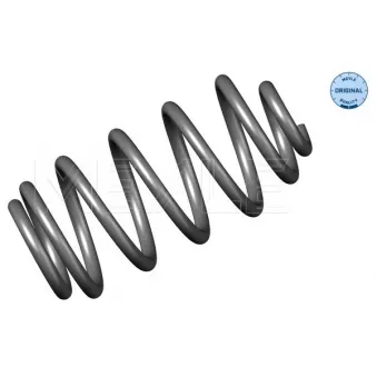 Ressort de suspension MEYLE OEM A6393240504