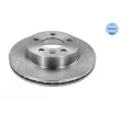MEYLE 015 521 2034 - Jeu de 2 disques de frein avant