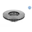 MEYLE 015 521 2049 - Jeu de 2 disques de frein avant