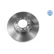 MEYLE 015 521 2080 - Jeu de 2 disques de frein avant