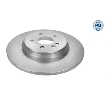 Jeu de 2 disques de frein arrière MEYLE OEM A1634230012