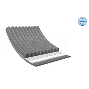 Courroie trapézoïdale à nervures MEYLE 050 010 2451