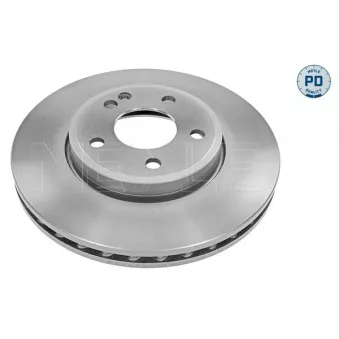 Jeu de 2 disques de frein avant MEYLE OEM A2464212412