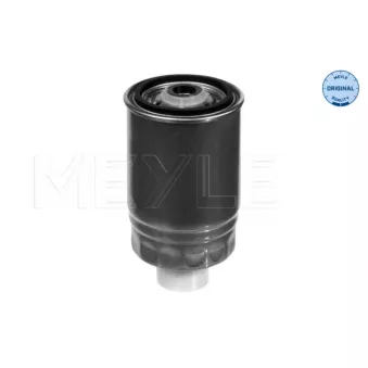 Filtre à carburant MEYLE OEM 60703776