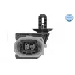 MEYLE 100 199 0316 - Support moteur