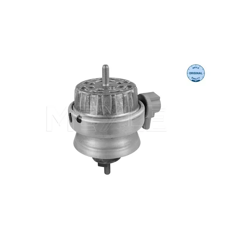 Support moteur MEYLE 100 199 3160 - Visuel 1