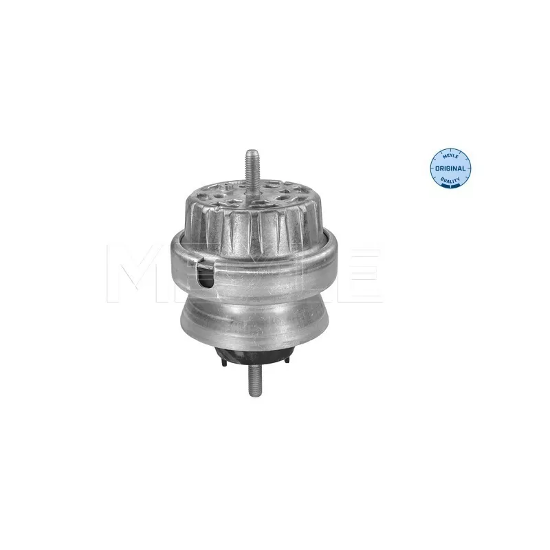 Support moteur MEYLE 100 199 3161 - Visuel 1