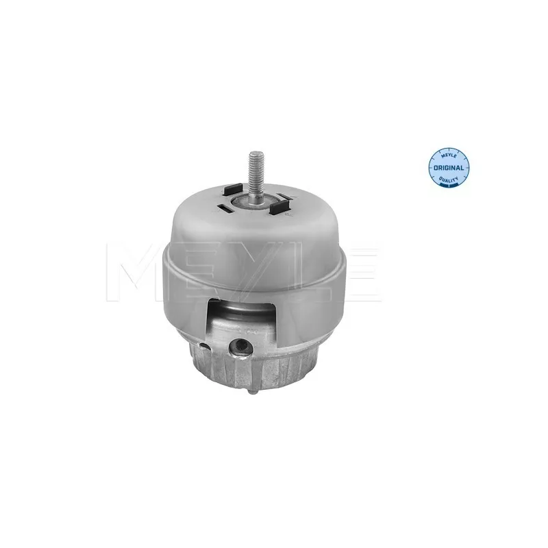 Support moteur MEYLE 100 199 3161 - Visuel 2