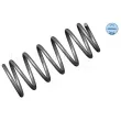 MEYLE 100 639 0011 - Ressort de suspension