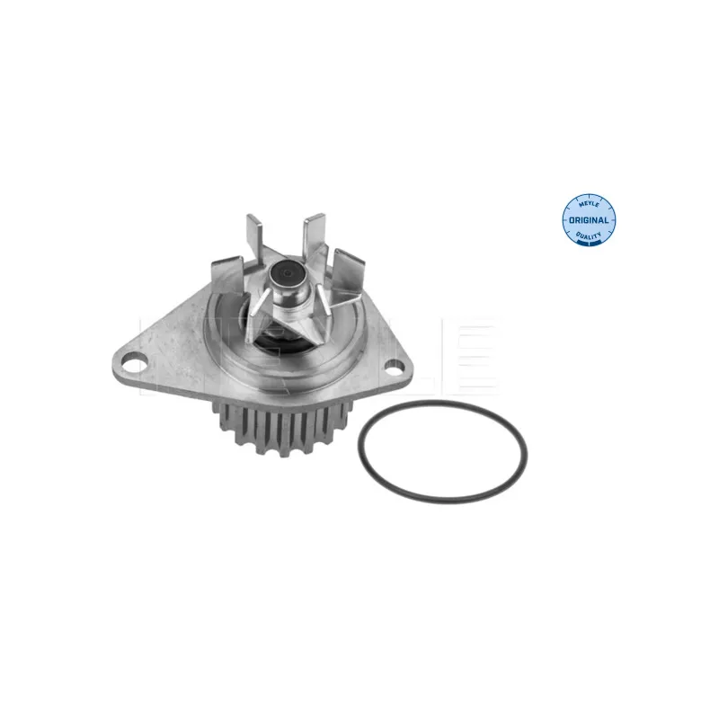 Pompe à eau MEYLE 11-13 220 0006 - Visuel 1