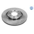 Jeu de 2 disques de frein avant MEYLE [11-15 521 0017]