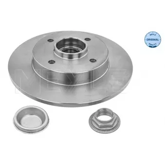 Jeu de 2 disques de frein arrière MEYLE OEM 424966
