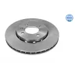 Jeu de 2 disques de frein avant MEYLE [115 521 0006]
