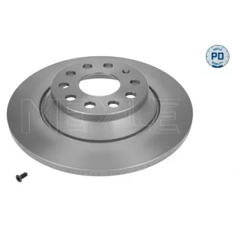 Jeu de 2 disques de frein arrière MEYLE OEM 3Q0615601A